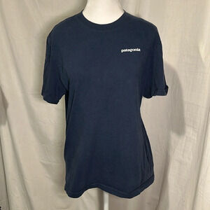Mens small regular fit Patagonia graphic tshirt